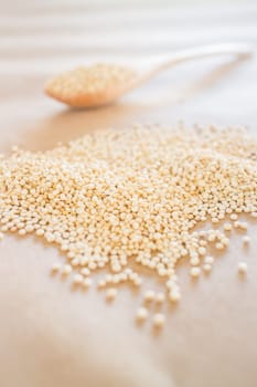 Raw organic white quinoa seeds, stock photo