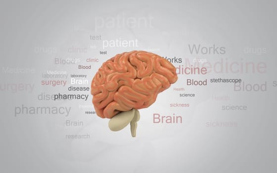 Digital illustration of brain in colour background