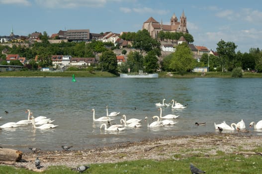 Breisacher,Muenster,St. Stephan