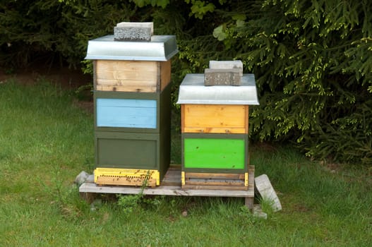 Beehive,honey box