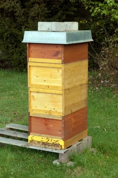 Beehive,honey box