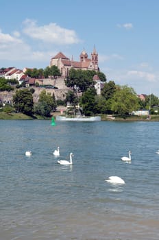 Breisacher,Muenster,St. Stephan