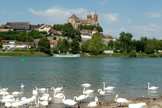 Breisacher,Muenster,St. Stephan
