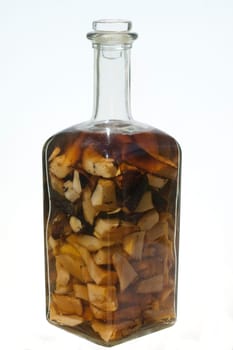 Beinwell  Root,bottle,attachment,leg corrugated roots