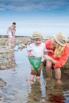 Young family at the seaside searching for creatures in rock pools. The young boy and his mother are the focus with the father and daughter in the background.