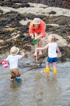 Young family searching for creatures in rock pools at the beach