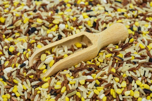 Multigrain rice,close-up of various rice grains