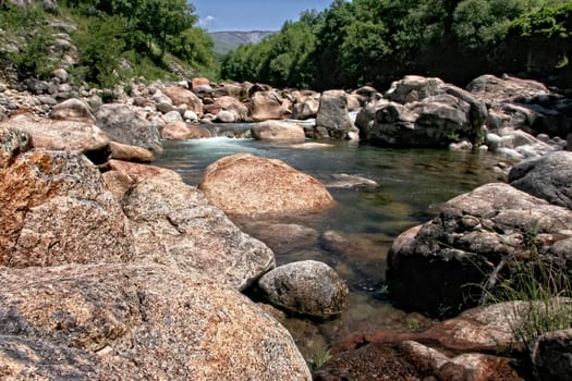 Natural environment of Alardos ravine in Madrigal de la Vera, Vera county, Caceres, Spain