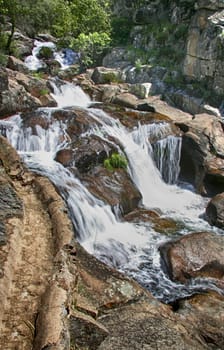 Natural environment of Alardos ravine in Madrigal de la Vera, Vera county, Caceres, Spain