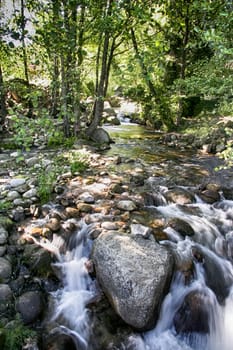 Natural environment of Alardos ravine in Madrigal de la Vera, Vera county, Caceres, Spain