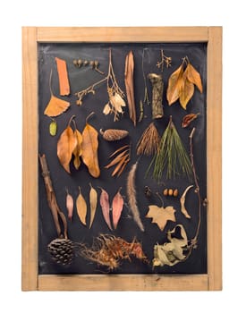 Fall composition