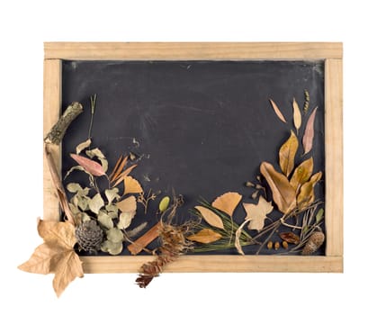 Fall composition