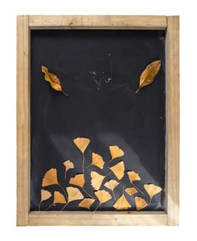 Fall composition