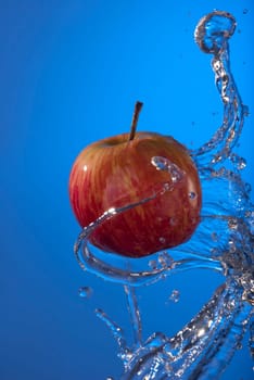 Organic eco red apple fruit with water splash on blue background. Ideal for poster or health campaign.