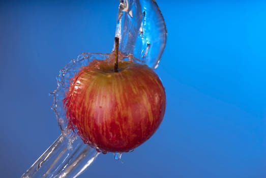 Organic eco red apple fruit with water splash on blue background. Ideal for poster or health campaign.