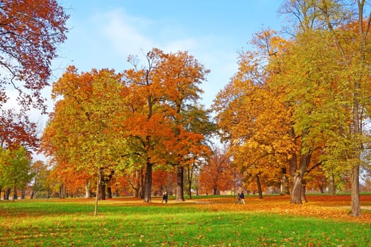 Colorful autumn landscape - vibrant trees in park, blue sky