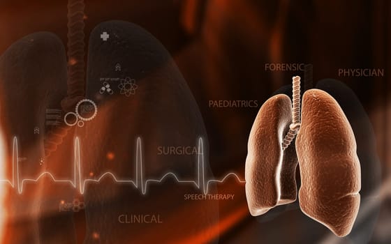 Digital illustration of human lungs in colour background