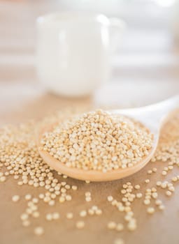 Raw organic white quinoa seeds, stock photo