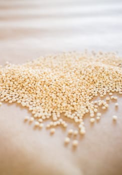 Raw organic white quinoa seeds, stock photo