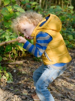 Boy playing with stick like with gun , an autumn day