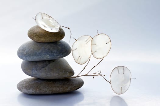 silver Balance