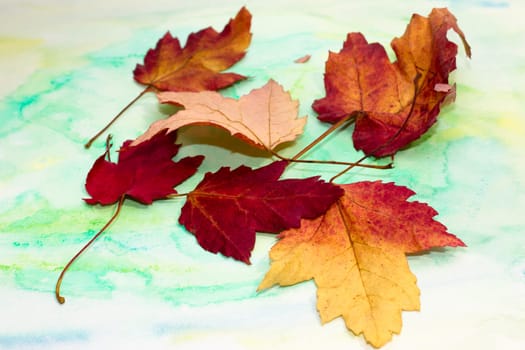 Autumn leaves