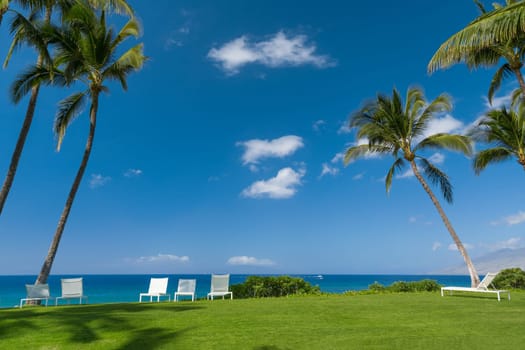 Tropical beach with palm trees