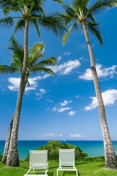 Tropical beach with palm trees