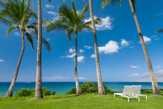 Tropical beach with palm trees