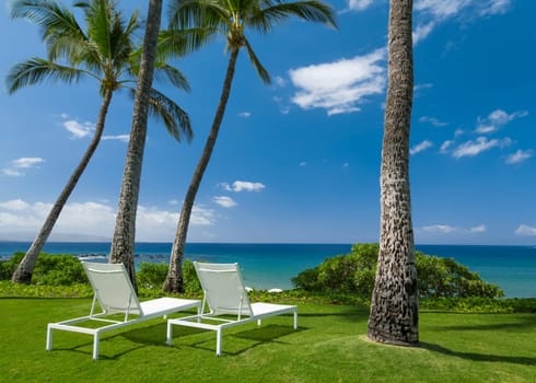 Tropical beach with palm trees