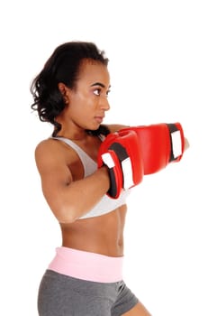 A young pretty African American woman in sportswear, wearing red.boxing gloves, standing in closeup isolated for white background..