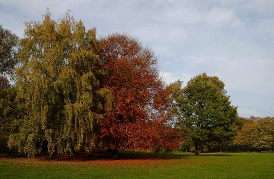 Autumn