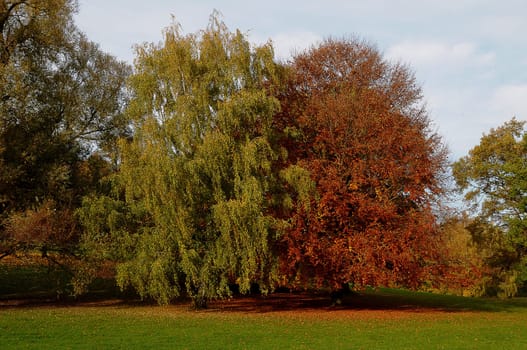autumn