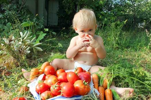 baby eats ripe tomato besides of heap of tomatoes and carrots