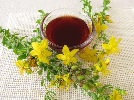 St. John's Wort Oil