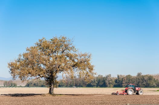 Agricultural landscape with a tree and tractor plowing the field with harrow.