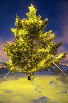 Real christmas tree with christmas lights shot at night in snow and winter