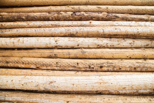 pile of wood shavings great detail, fantastic for backgrounds