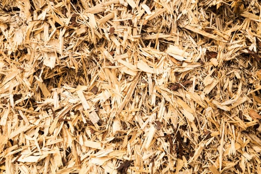 pile of wood shavings great detail, fantastic for backgrounds