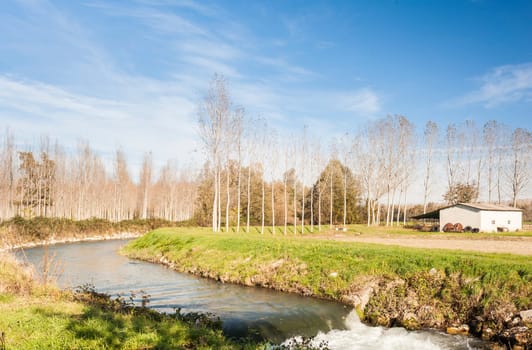 Agricultural landscape with a river, waterfall, poplars and an old tool shed.