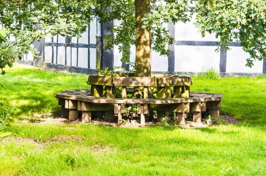 Round beautiful wooden bench in a park for resting.