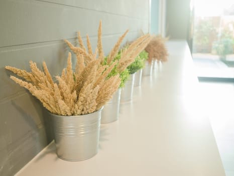 Simply plant bucket decorated on counter, stock photo