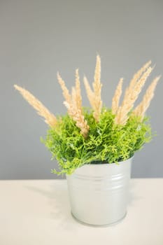 Simply plant bucket decorated on the table, stock photo