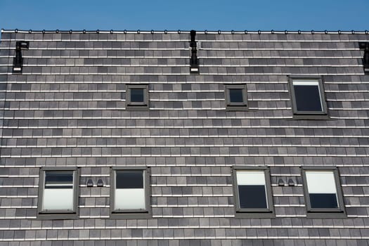Stylish dark grey roof with skylights