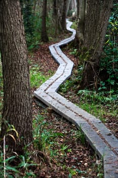 Keep on track the way forward