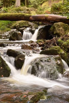 The river Ilse near Ilsenburg in the Harz National Park