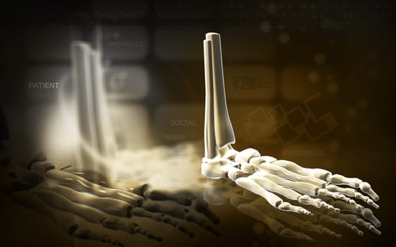 Digital illustration of Leg bone in colour background