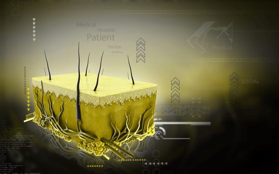 Digital illustration of Skin in colour background