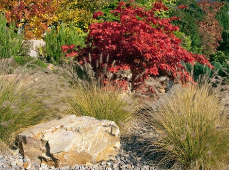 Faecherahorn,lamp cleaner grass,stone garden