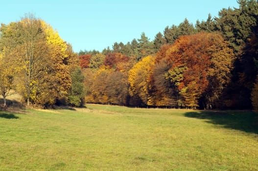 Autumn Impressions,Autumn,Autumn Blaetter